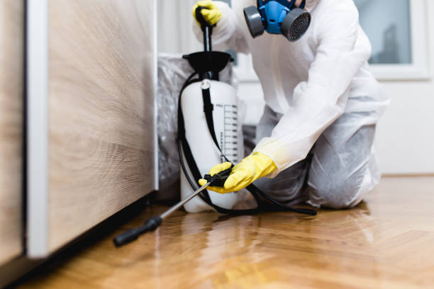 Best Wasp Removal Services  in Cobden, IL
