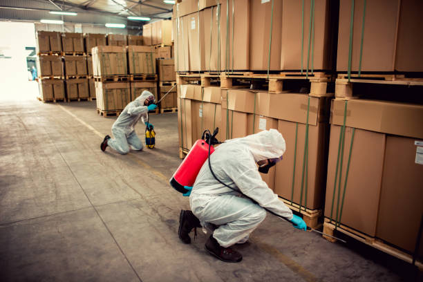 Best Mosquito Control Services  in Cobden, IL