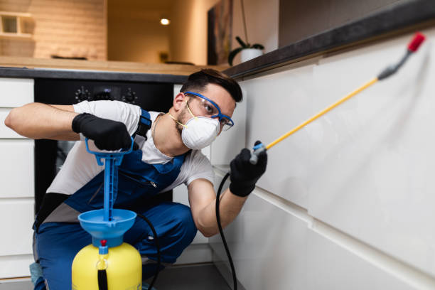 Best Residential Pest Control  in Cobden, IL
