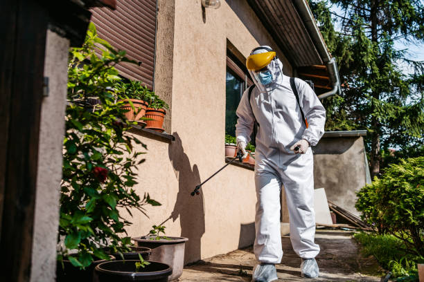 Best Exterminator Services  in Cobden, IL