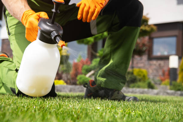 Best Best Pest Control Companies  in Cobden, IL