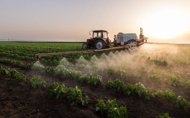 Best Insect Control  in Cobden, IL