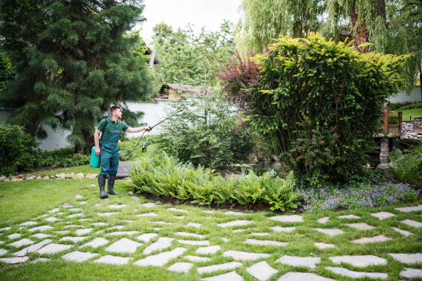 Best Residential Pest Control  in Cobden, IL