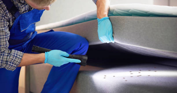 Best Pest Removal Services  in Cobden, IL