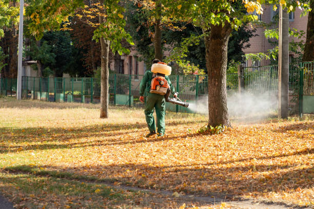 Best Flea Control Services  in Cobden, IL