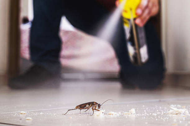 Best Mosquito Control Services  in Cobden, IL