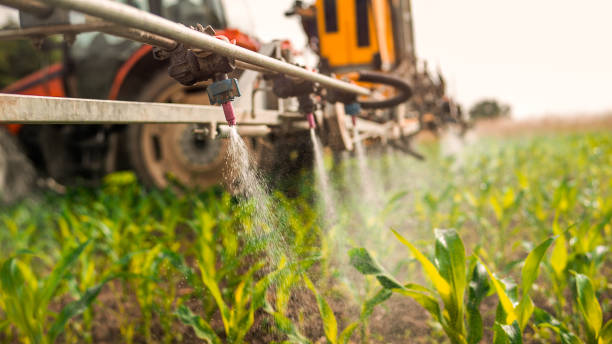 Best Best Pest Control Companies  in Cobden, IL