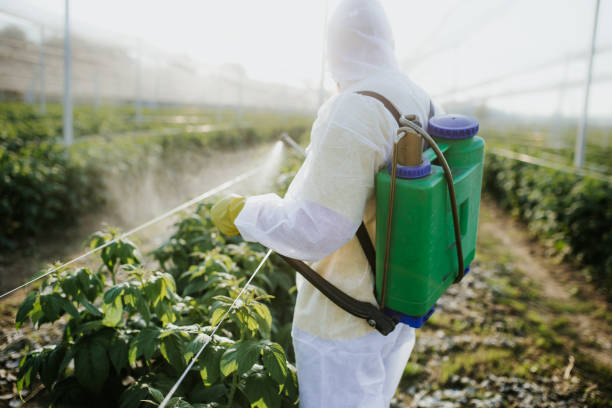 Reliable Cobden, IL Pest Control Solutions